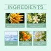 Roxelis Fresh Neutral Fragrance
