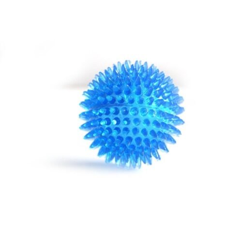 6D7CC2E1396199CB5CB82600F4652018.jpeg Interactive Pig Face Dog Ball