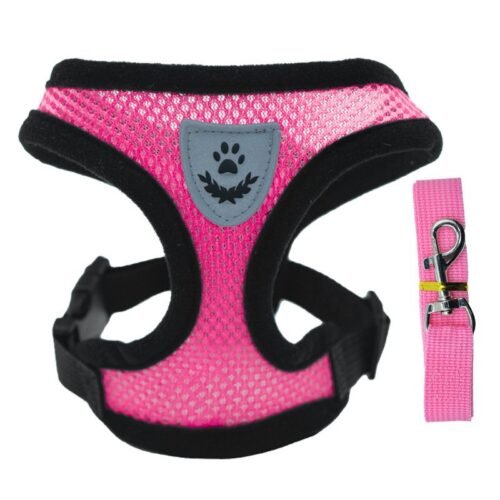 Adjustable Pet Harness Set