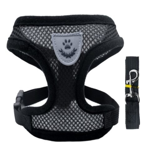 Adjustable Pet Harness Set