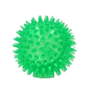 DBC6E328185DD8ADF665D6C26BD21962.jpeg Interactive Pig Face Dog Ball